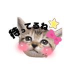 みらいねこ横濱⑤（個別スタンプ：5）