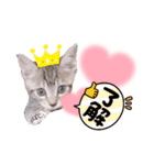 みらいねこ横濱⑤（個別スタンプ：7）