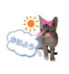 みらいねこ横濱⑤（個別スタンプ：16）