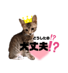 みらいねこ横濱⑤（個別スタンプ：18）