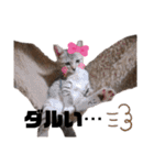 みらいねこ横濱⑤（個別スタンプ：22）