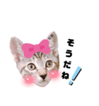 みらいねこ横濱⑤（個別スタンプ：30）