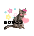 みらいねこ横濱⑤（個別スタンプ：32）