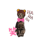 みらいねこ横濱⑤（個別スタンプ：36）