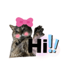 みらいねこ横濱③（個別スタンプ：4）