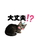 みらいねこ横濱③（個別スタンプ：21）