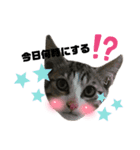 みらいねこ横濱③（個別スタンプ：29）