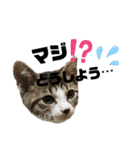 みらいねこ横濱③（個別スタンプ：32）