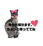 みらいねこ横濱③（個別スタンプ：39）