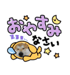 柴犬まる(マル)（個別スタンプ：6）