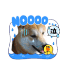 柴犬まる(マル)（個別スタンプ：14）