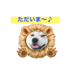 柴犬まる(マル)（個別スタンプ：39）