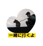 柴犬まる(マル)（個別スタンプ：40）