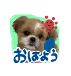 まめ汰の日常スタンプ（個別スタンプ：7）