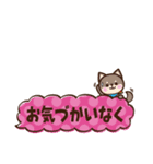 省スペース★ふきだしスタンプ【猫わんこ】（個別スタンプ：13）