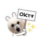 ペコの仲間たち（個別スタンプ：2）