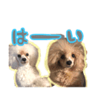 ペコの仲間たち（個別スタンプ：3）
