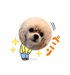 ペコの仲間たち（個別スタンプ：14）