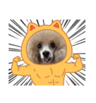 ペコの仲間たち（個別スタンプ：15）