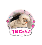 ペコの仲間たち（個別スタンプ：16）