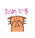 字が大きく見やすいスタンプ ねこ 癒し系（個別スタンプ：6）