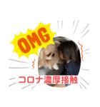 みんなのアイドルはるま（個別スタンプ：5）