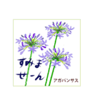 ミチコばあばスタンプ NO20  夏の花 D（個別スタンプ：2）