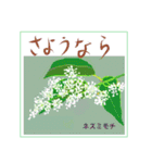 ミチコばあばスタンプ NO20  夏の花 D（個別スタンプ：3）