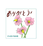 ミチコばあばスタンプ NO20  夏の花 D（個別スタンプ：4）