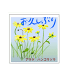 ミチコばあばスタンプ NO20  夏の花 D（個別スタンプ：5）