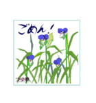 ミチコばあばスタンプ NO20  夏の花 D（個別スタンプ：6）