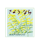 ミチコばあばスタンプ NO20  夏の花 D（個別スタンプ：7）