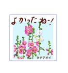 ミチコばあばスタンプ NO20  夏の花 D（個別スタンプ：8）