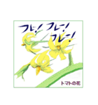 ミチコばあばスタンプ NO20  夏の花 D（個別スタンプ：9）