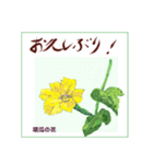 ミチコばあばスタンプ NO20  夏の花 D（個別スタンプ：12）