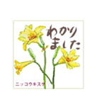 ミチコばあばスタンプ NO20  夏の花 D（個別スタンプ：14）