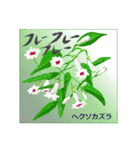 ミチコばあばスタンプ NO20  夏の花 D（個別スタンプ：15）