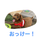 おときな（個別スタンプ：1）