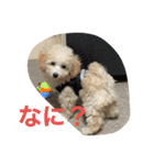おときな（個別スタンプ：2）