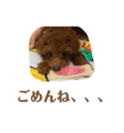 おときな（個別スタンプ：4）