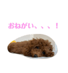 おときな（個別スタンプ：6）