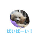 おときな（個別スタンプ：7）