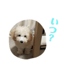 おときな（個別スタンプ：14）