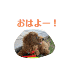 おときな（個別スタンプ：15）