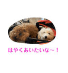 おときな（個別スタンプ：20）