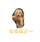 おときな（個別スタンプ：22）