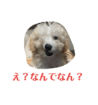 おときな（個別スタンプ：23）