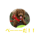 おときな（個別スタンプ：24）