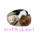 おときな（個別スタンプ：25）