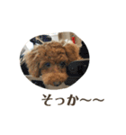 おときな（個別スタンプ：30）